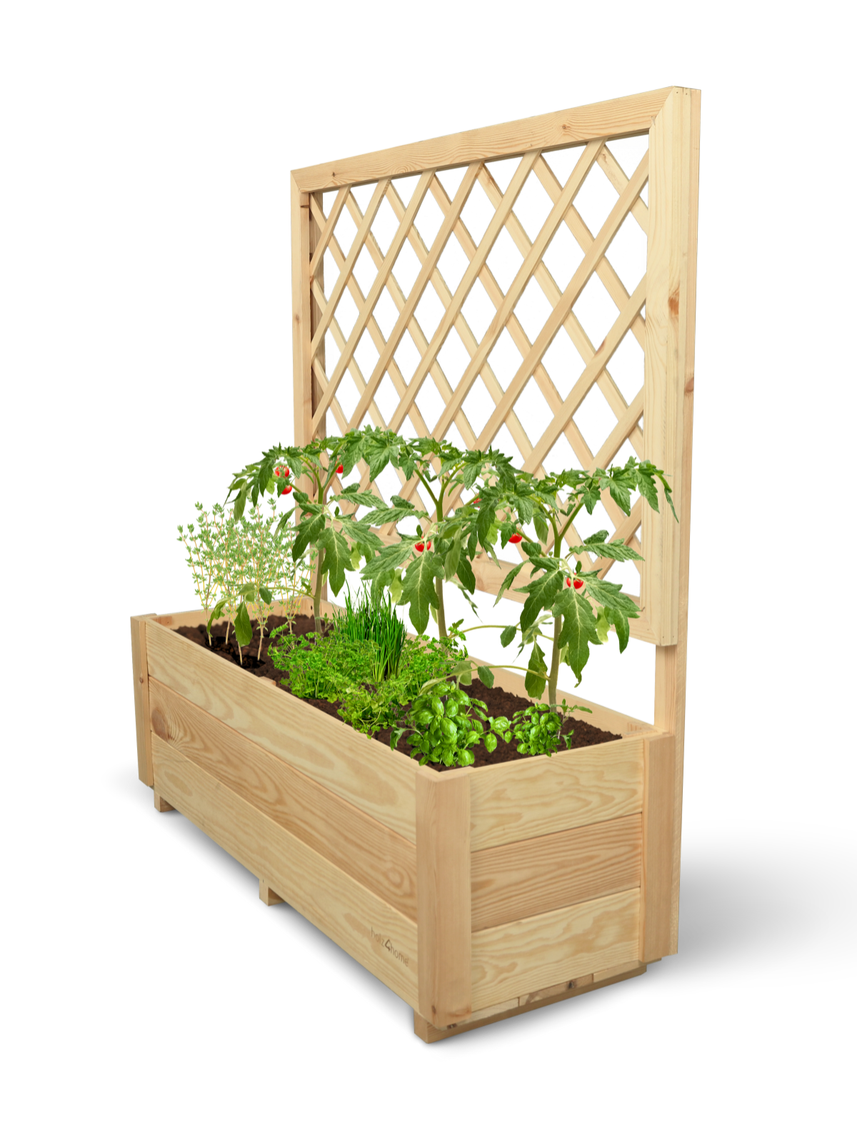 Pflanzkasten mit Rankgitter M