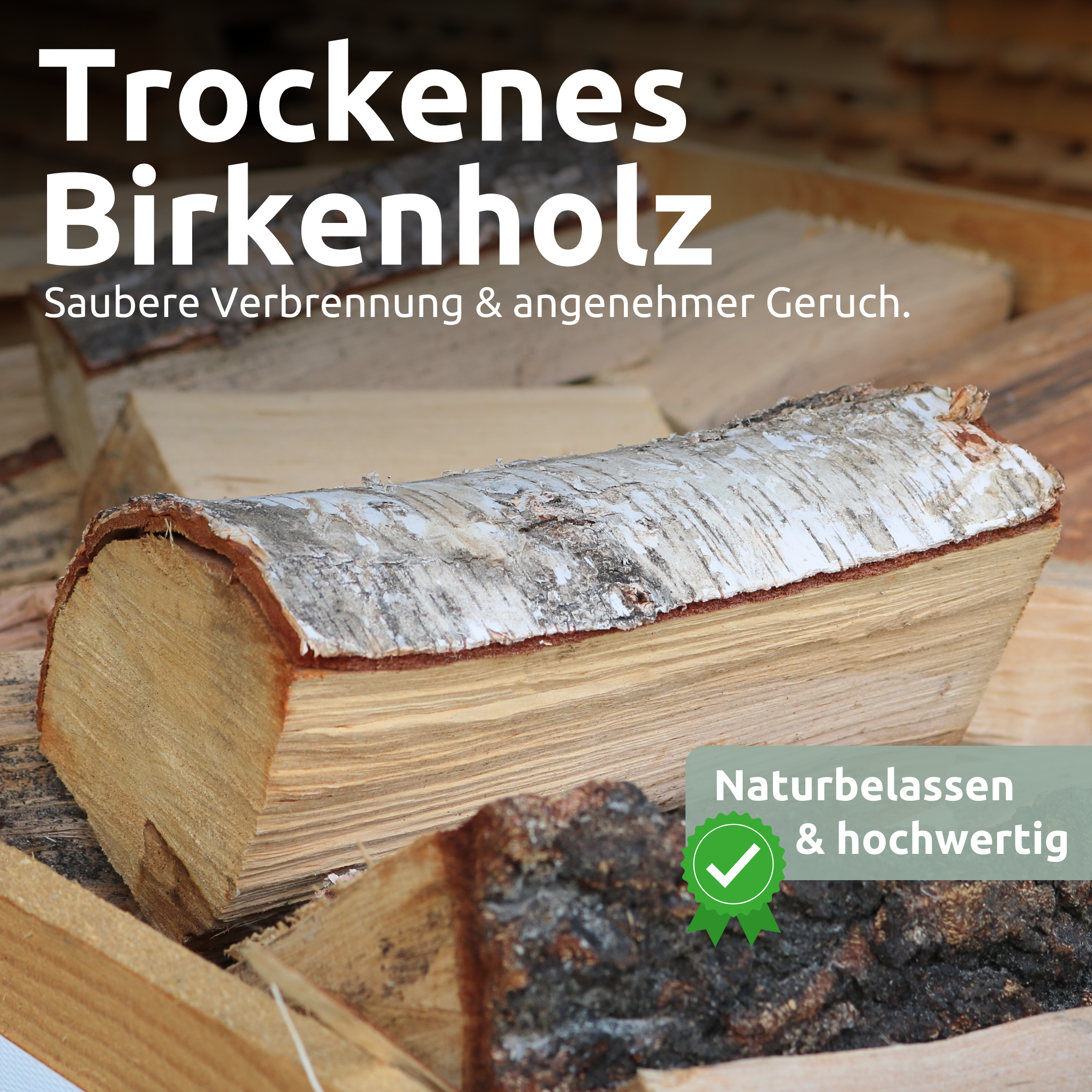 Brennholz Birke Kammergetrocknet 25 cm 1RM/ 1,6 SRM