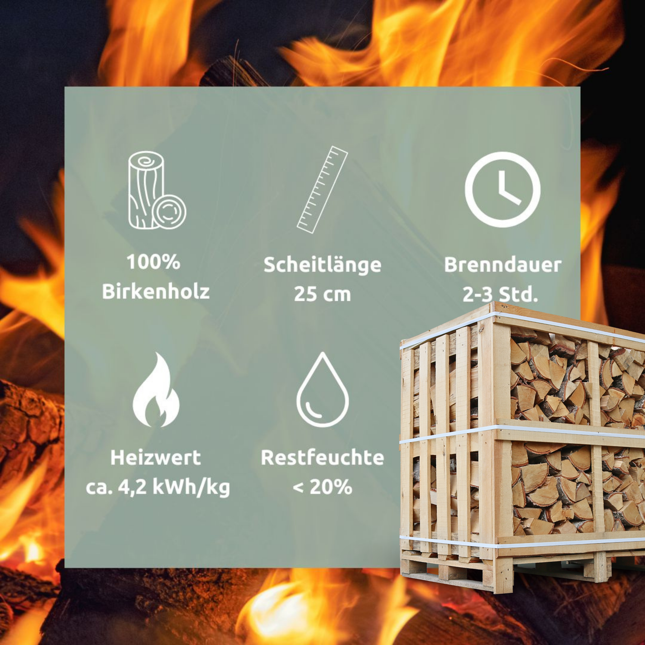 Brennholz Birke Kammergetrocknet 25 cm 1RM/ 1,6 SRM