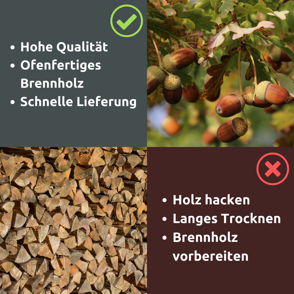 Brennholz Mischholz 30kg im Karton