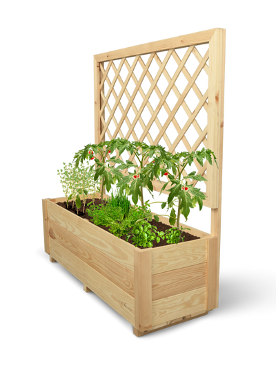 Pflanzkasten mit Rankgitter M