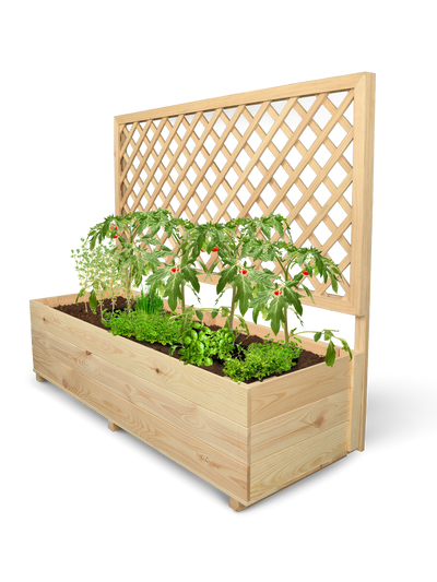 Pflanzkasten mit Rankgitter XL