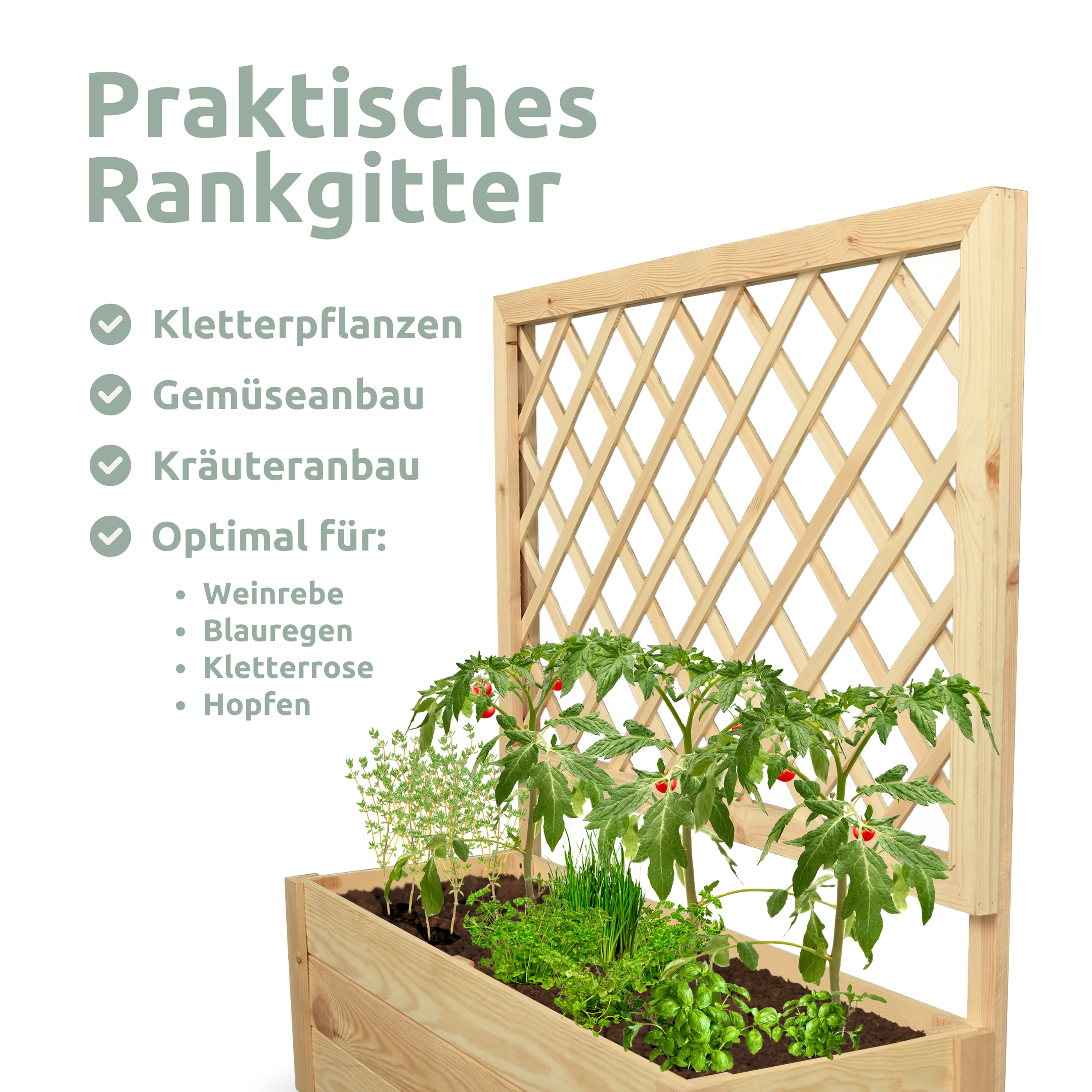 Pflanzkasten mit Rankgitter M